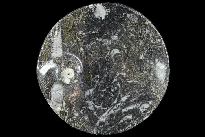 Round Fossil Goniatite Dish #91502